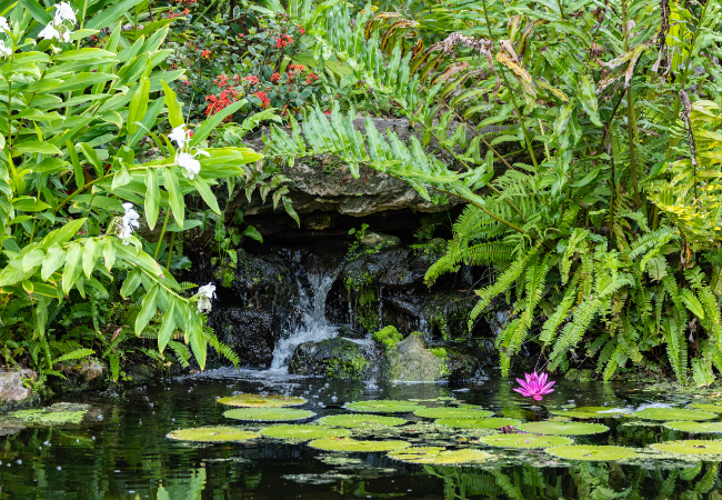 McKee Waterfall